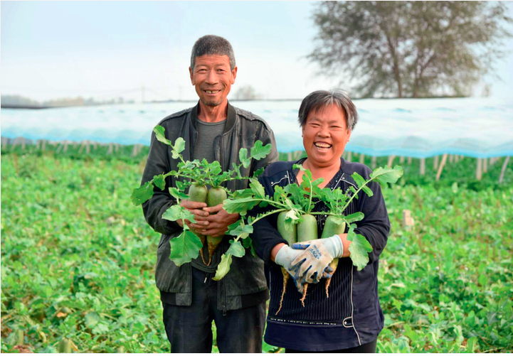 截屏2024-09-12 18.57.09.png