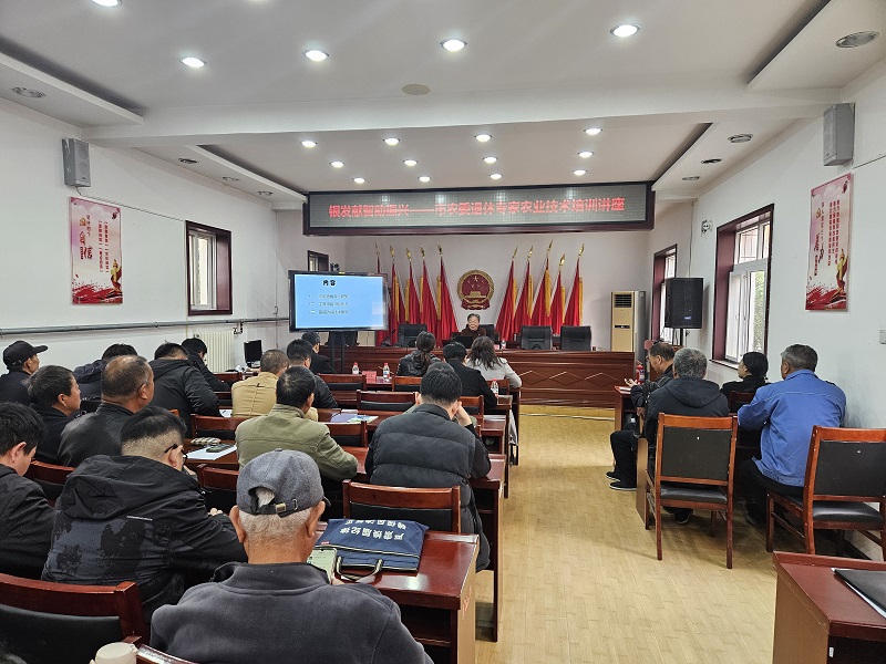 专家授课.jpg